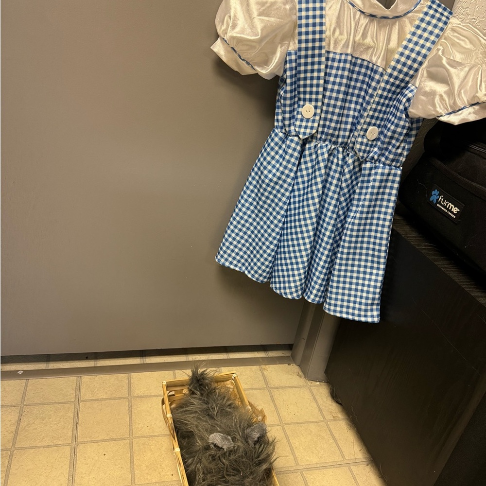 Blue and White Checkered Kids Costume